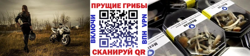 Галлюциногенные грибы Magic Shrooms  Верхнеуральск 